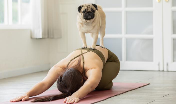Puppy Yoga – What Is It and Their Benefits?