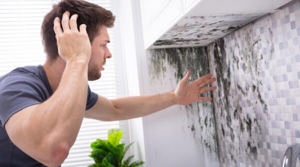 What is Mold Toxicity